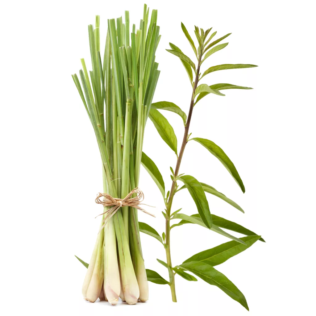 Lemongrass essential oil / Lemongrass essential oil, 10 ml