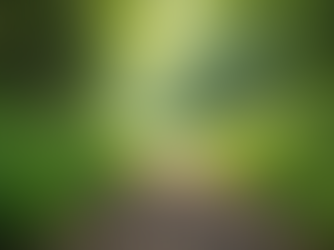 Nurturing Your Energy: Wellness Tips for Clarity