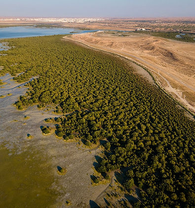 Real Estate Development Consulting Services for Umm Al Quwain