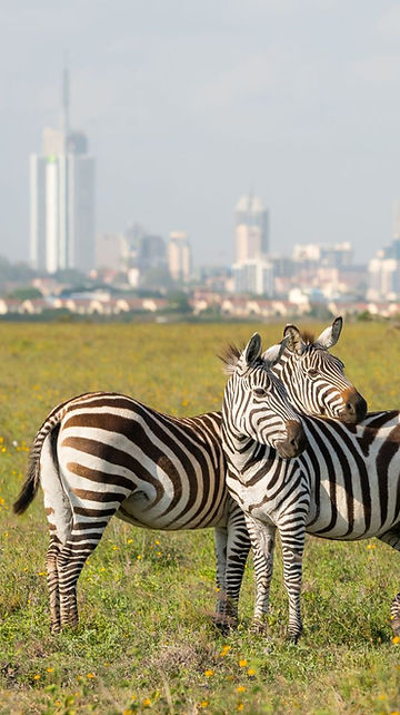 Expert Property Valuation Services in Nairobi