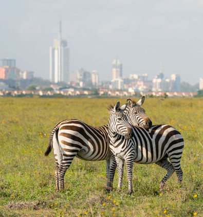 Real Estate Development Consulting Services for Nairobi
