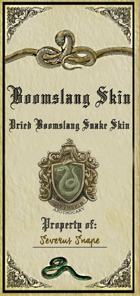 Boomslang Skin