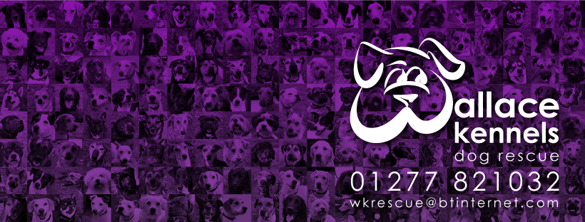 wallace-kennels-facebook-banner-2019.png