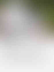 Inkor Tintas e Revestimentos Renova Parceria com a ABRAPP por Mais um Ano: Uma Imensa Satisfação e Orgulho para a Associação Brasileira dos Pintores Profissionais