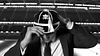 rugby cap[_edited.jpg