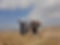 20250324_125519.jpg