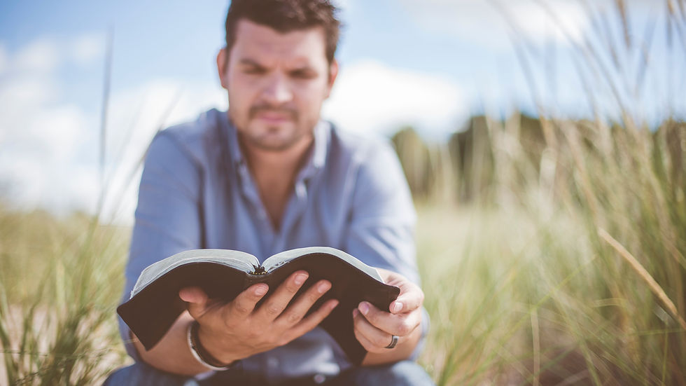 Young man reading Bible in grass field