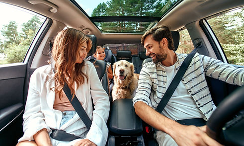 The whole family is driving for the weekend. Mom and Dad with their daughter and a Labrado