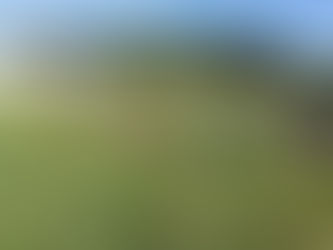 Олімпійський тиждень