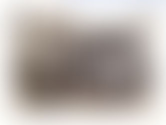 З історії освіти Селятина