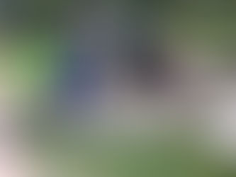 Продовжується акція по благоустрою школи