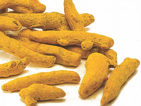 आम्बा हल्दी