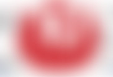 عشرة شروط تمنح 49 شركة ومؤسسة تراخيص البيع على الخارطة