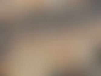 يناقش 19 خبيراً إيجاد حلول لأزمة السكن