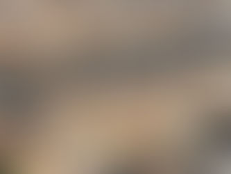 15 % انخفاضًا في تكلفة بناء المساكن