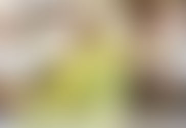 التنمية الاجتماعية... تطلق أولى مراحل تحويل المستفيد إلى منتج
