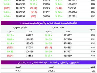 إصدار مليوني تأشيرة لمنشآت القطاع الخاص خلال 2015.. ومليون للعمالة المنزلية