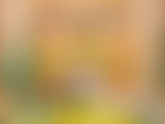 مجلس الوزراء يقر اللائحة التنفيذية لنظام رسوم الأراضي البيضاء