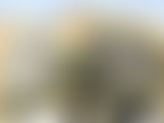 المالية: تخصص ميزانية بـ 5 مليارات لقروض الرهن الميسر