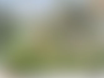 خمس خيارات لضمان حقوق ملاك عقارات الرويس