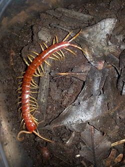 10414645_802660896444182_2729848282636937768_n