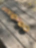 unnamed-31.jpg