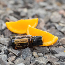 EU Wild Orange 15 ml.jpg