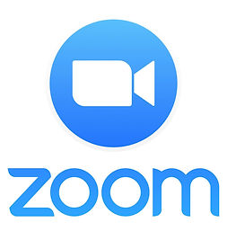 Zoom-Pro-Annually-2.jpg