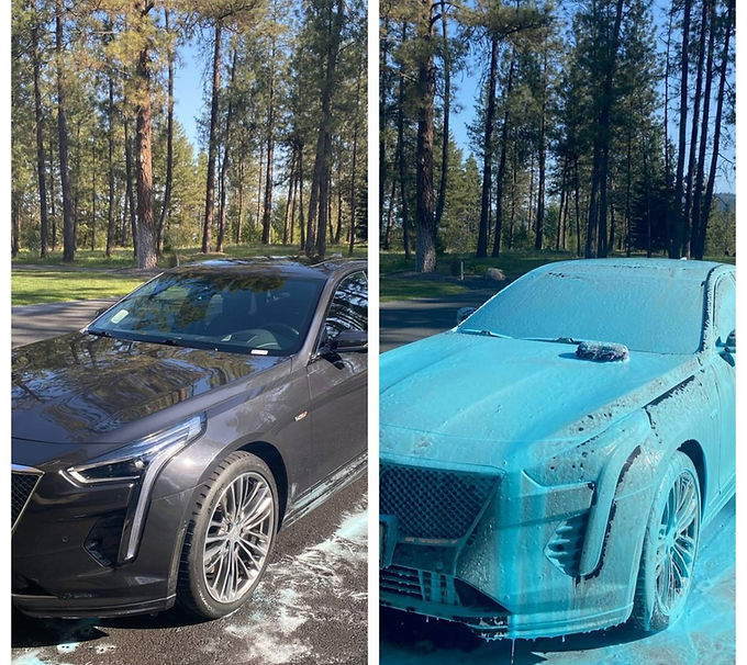 Blank 2 Grids Collage (2).jpg