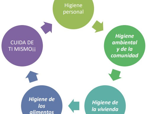 Hábitos y estilos de vida saludable en el trabajo
