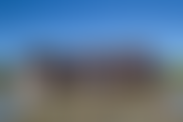 FEDERAL LAND SPEARHEADS COASTAL REVIVAL THROUGH MANGROVE PLANTING IN CARCAR CITY