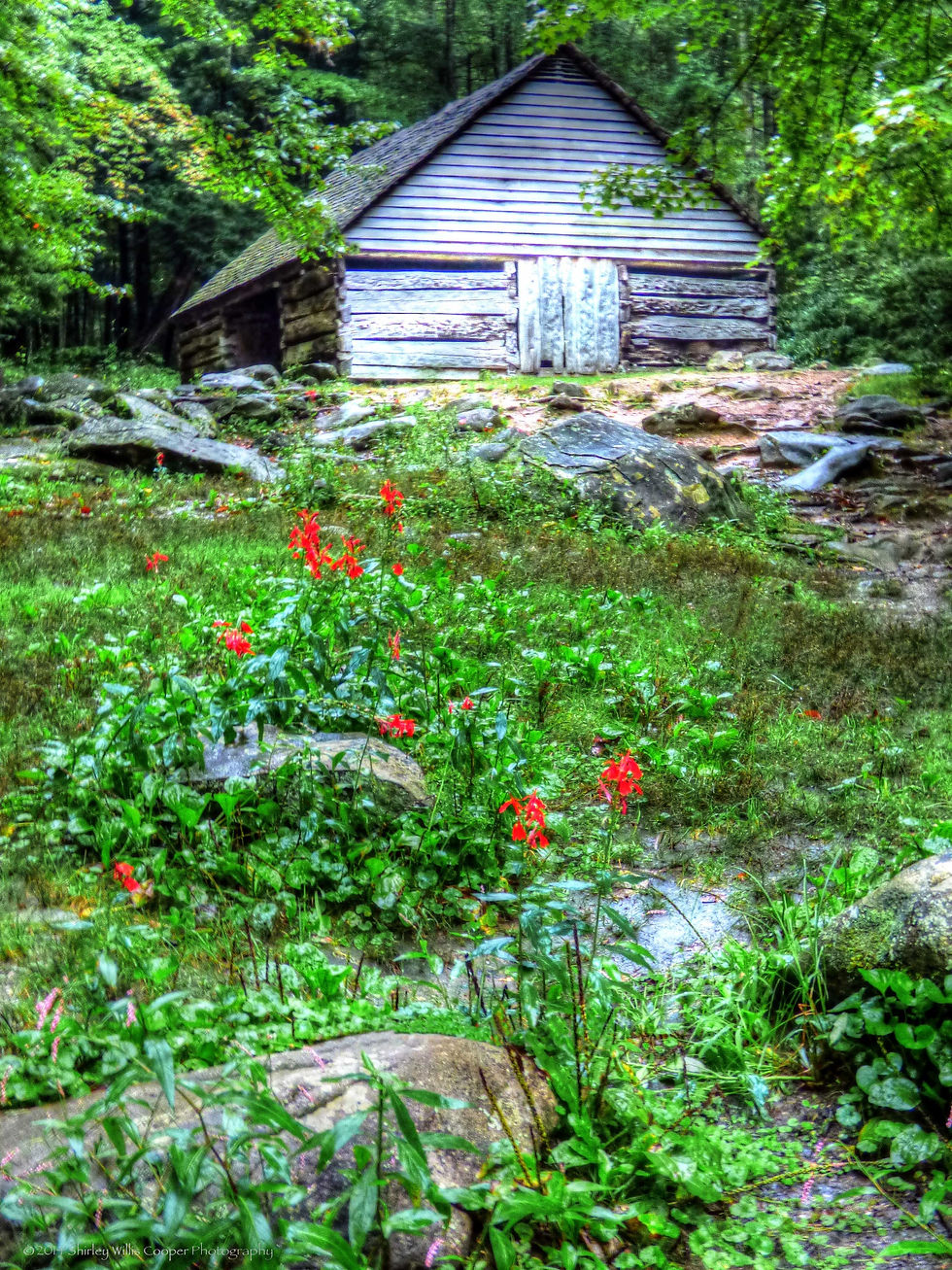 P1040484_web
