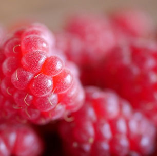 PHOTO GALLERY: Raspberry
