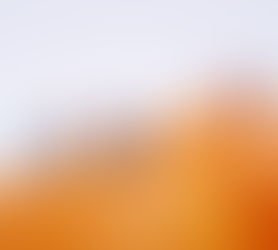 PHOTO GALLERY: Orange