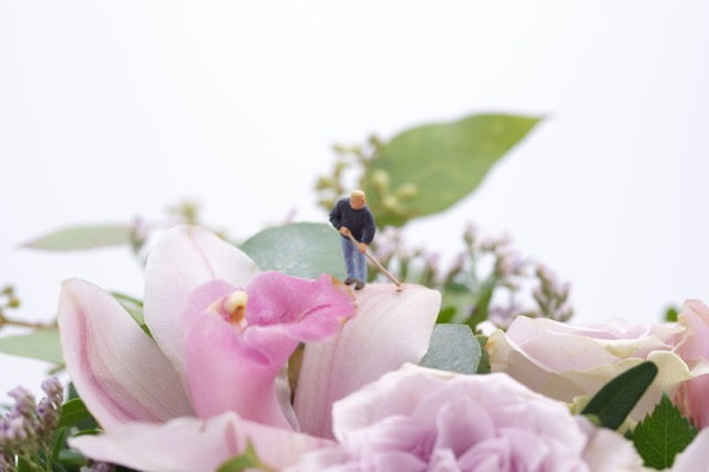 Flower and people 15