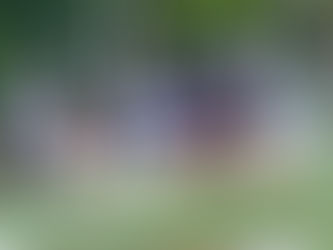 Join the Halifax Beavers: Boost Your Field Hockey Skills