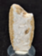 Agata bianca fibrosa - Ex Distretto Minerario Serenissima (Vicenza, Italia)