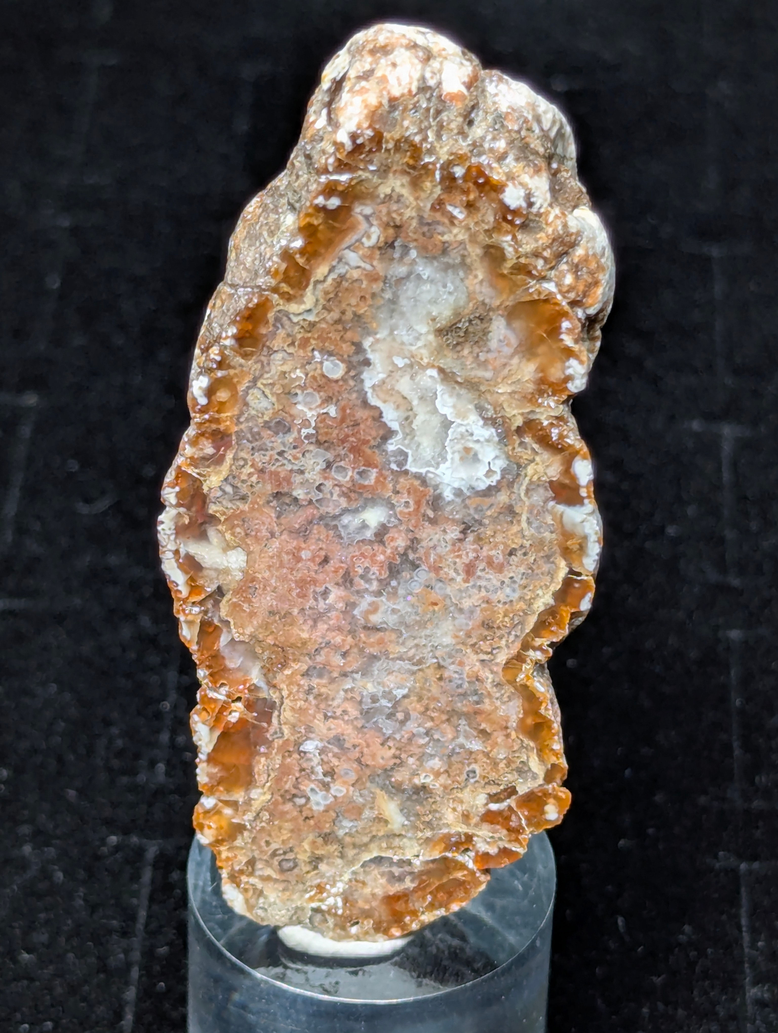 Agata botroidale rossa - Ex Distretto Minerario Serenissima (Vicenza, Italia)