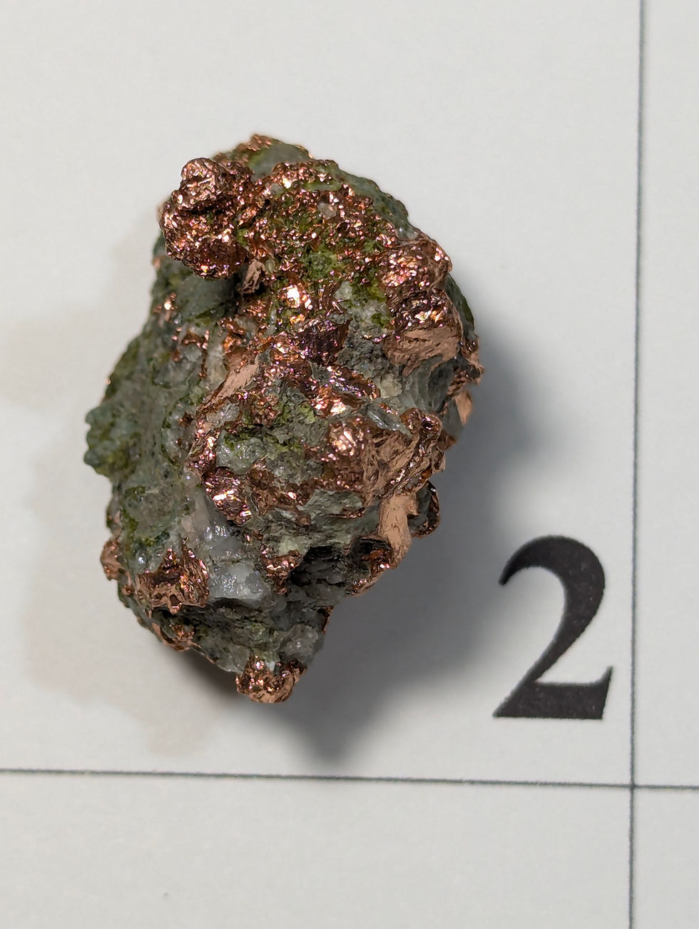 Thumbnail: Rame Nativo Naturale – Campioni Singoli (Keweenaw County, Michigan, USA)