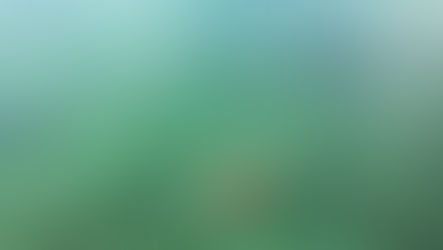 MÉXICO | O QUE FAZER EM COZUMEL?