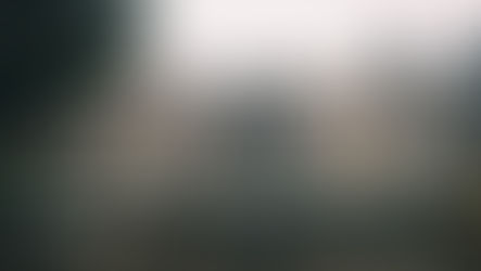 HOLANDA | O QUE FAZER? ALÉM DOS CANAIS E BICICLETAS