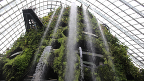 SINGAPURA | A CIDADE DO FUTURO