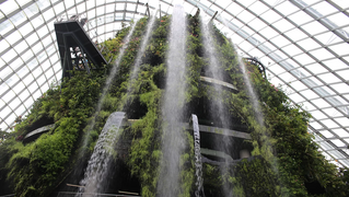 SINGAPURA | A CIDADE DO FUTURO