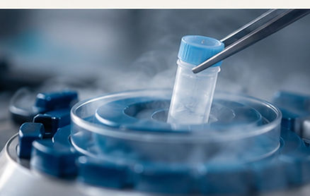 egg-freezing-fertility-preservation.jpg