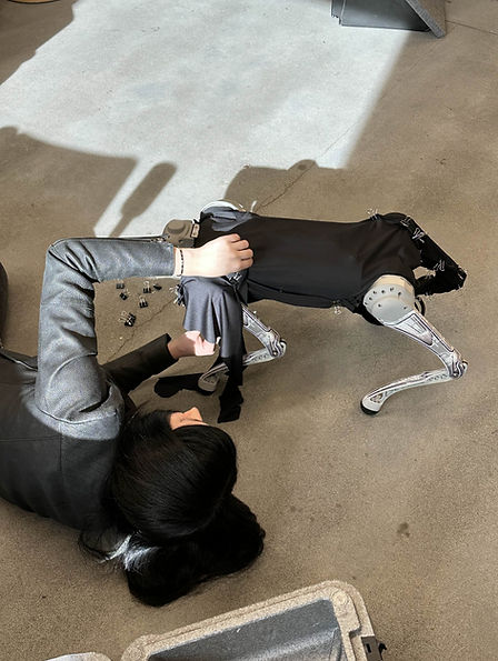 ava pattern mocap.jpg