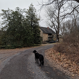 Screenshot 2024-02-06 at 10.28.48 PM.png