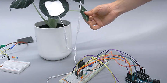 Screenshot 2025-01-24 at 12.04_edited.jpg