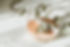 premium_photo-1678216964971-c0902f382f91.jpeg