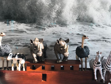 Parshat Noah