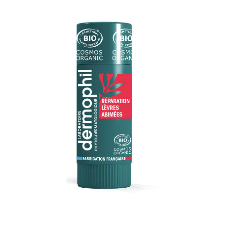 DERMOPHIL INDIEN Stick lèvres abimées bio 4g